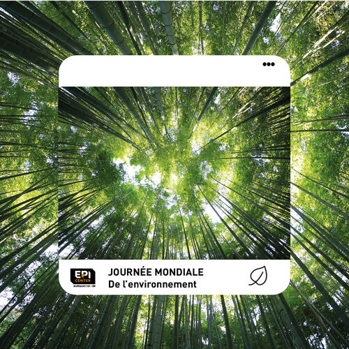 Journée mondiale de l'environnement