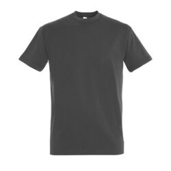 T-Shirt Homme Imperial Fleury-sur-Orne