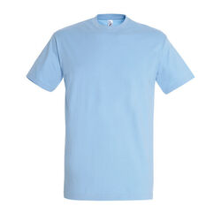 T-Shirt Homme Imperial Fleury-sur-Orne