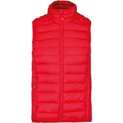 Bodywarmer Homme Doudoune L&eacute;g&egrave;re Fleury-sur-Orne