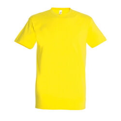T-Shirt Homme Imperial Fleury-sur-Orne