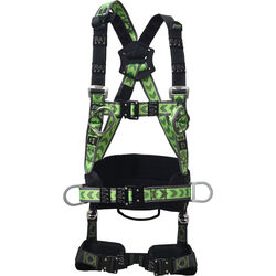 Harnais 2 POINTS + CEINTURE ROTATIVE + BOUCLES AUTOMATIQUES